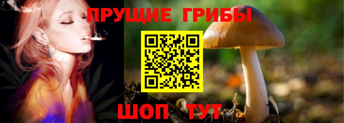 Галлюциногенные грибы Psilocybe  Вход с VPN  Псилоцибиновые грибы Psilocybine cubensis  Липецк 